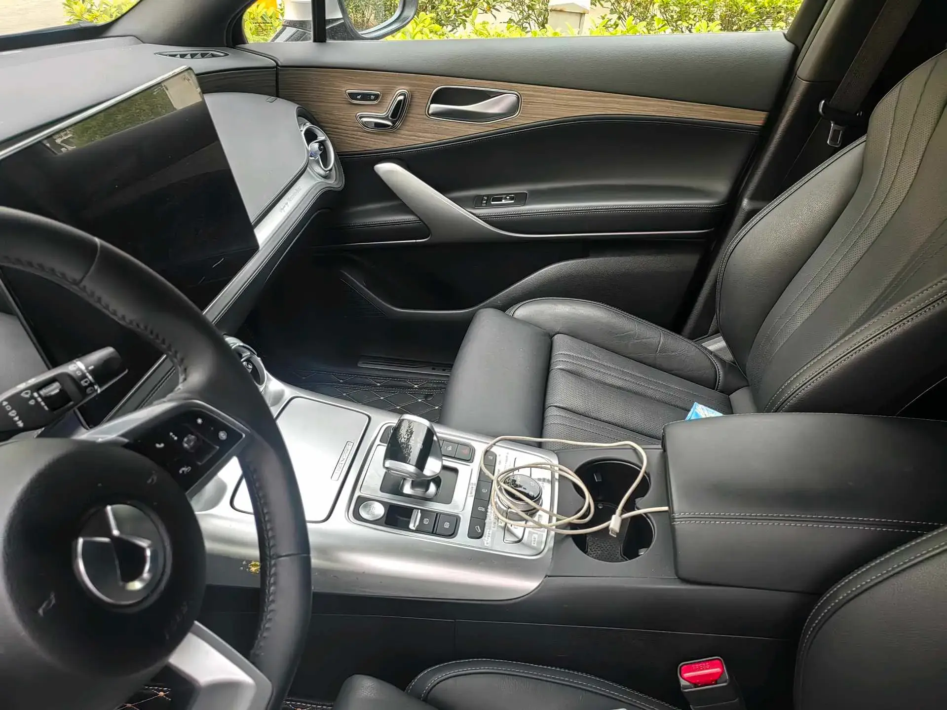 2020 DENZA X thumbnail 4