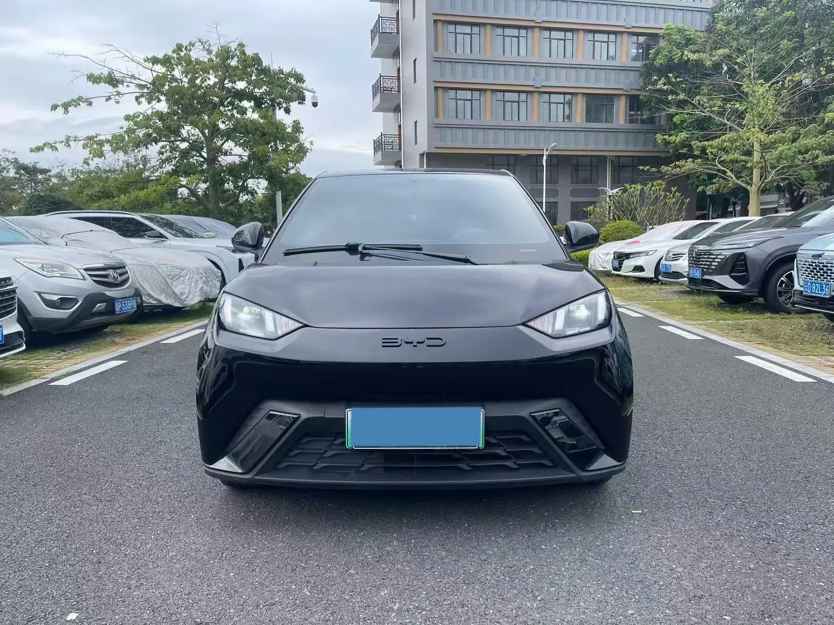 2024 BYD SEAGULL thumbnail 2