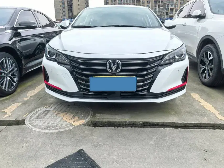 2021 CHANGAN RAETON thumbnail 2