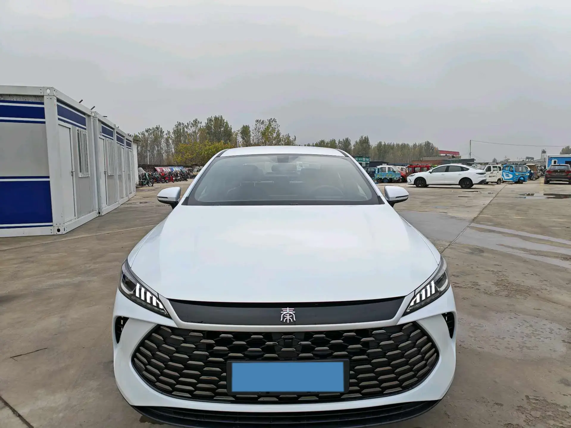 2024 BYD QIN thumbnail 2