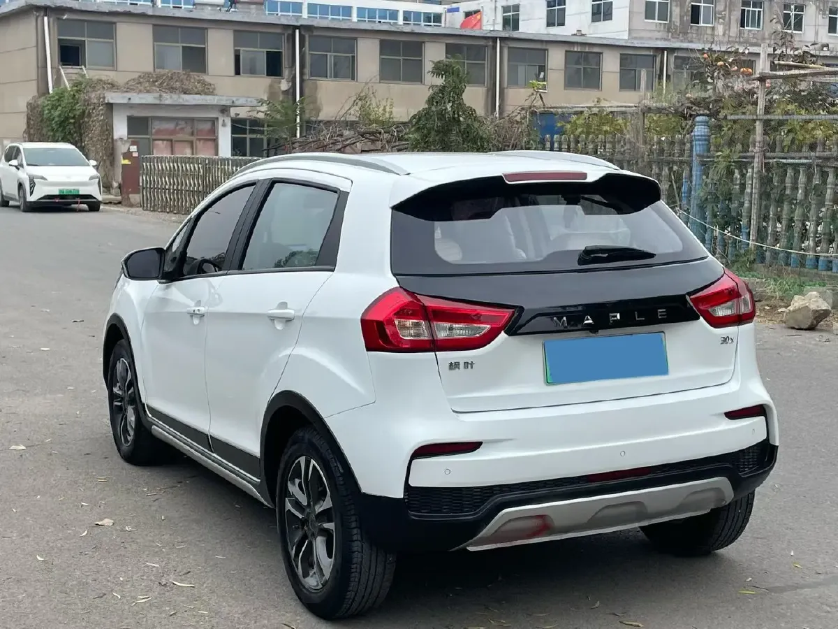 2020 Livan Maple 30X BEV 37KWH,autocango,china used car exporter,china ev exporter,chinese used car exporter,chinese used ev exporter
