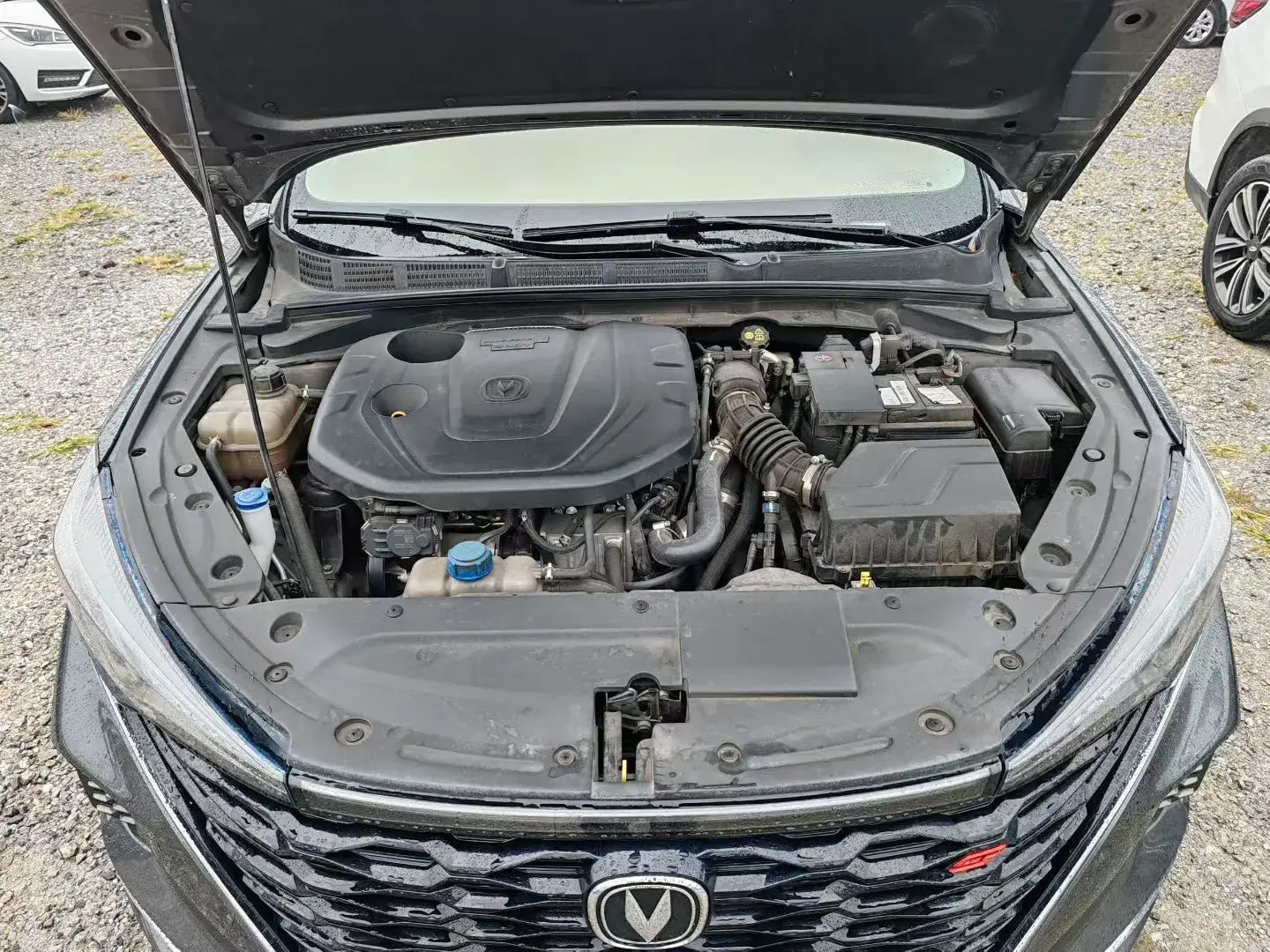 2022 CHANGAN EADO thumbnail 4