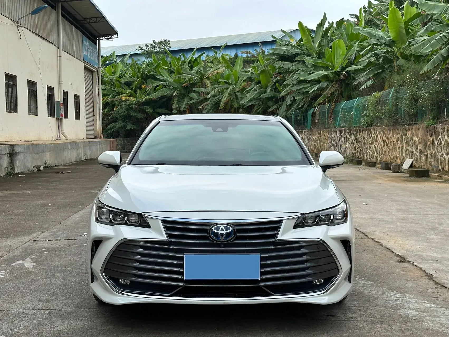 2019 TOYOTA AVALON thumbnail 2