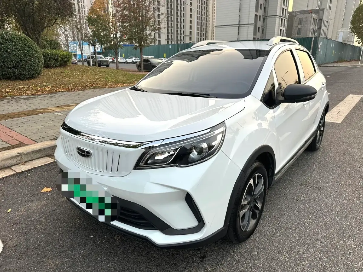 2021 Geometry EX3 BEV 37.23KWH