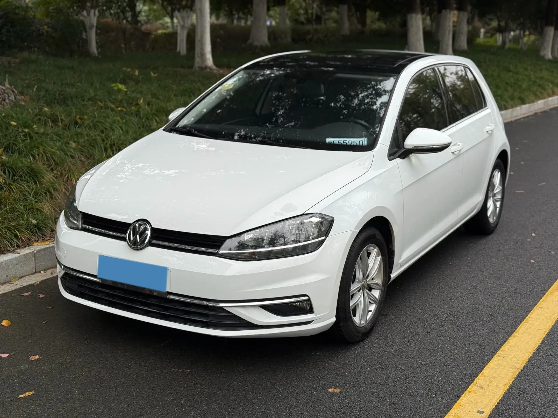 2019 VOLKSWAGEN GOLF view 1