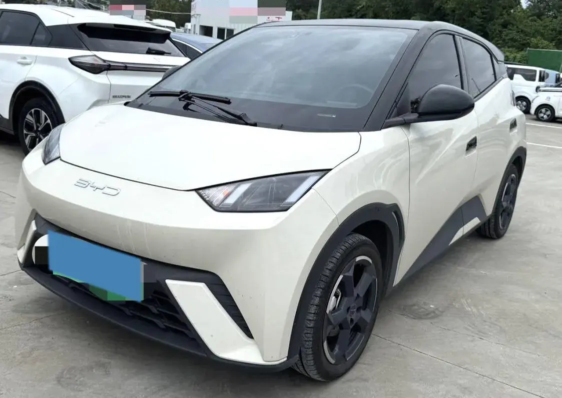 2023 BYD SEAGULL view 1