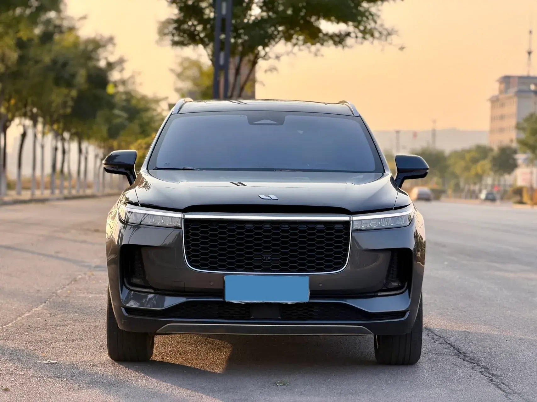 2021 LI ONE thumbnail 3