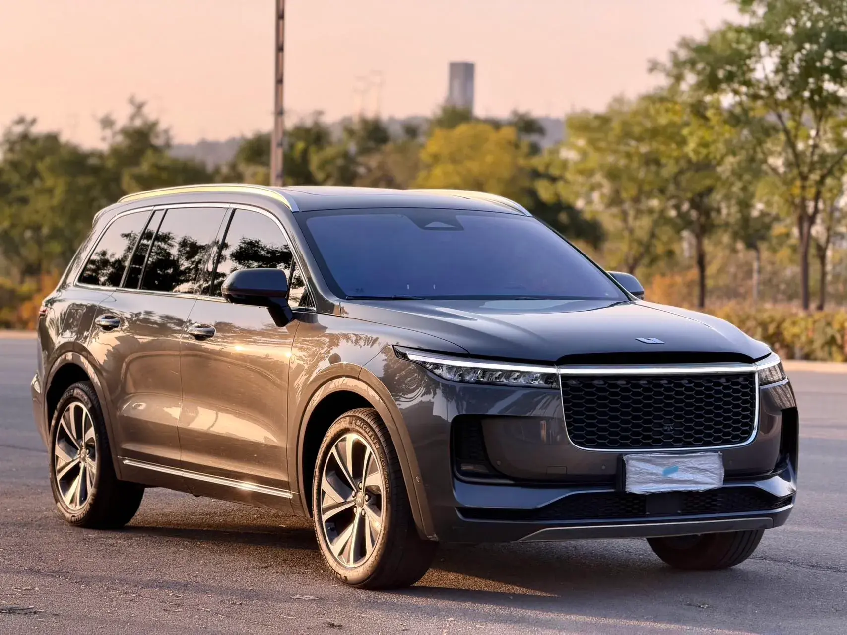 2021 LI ONE thumbnail 2