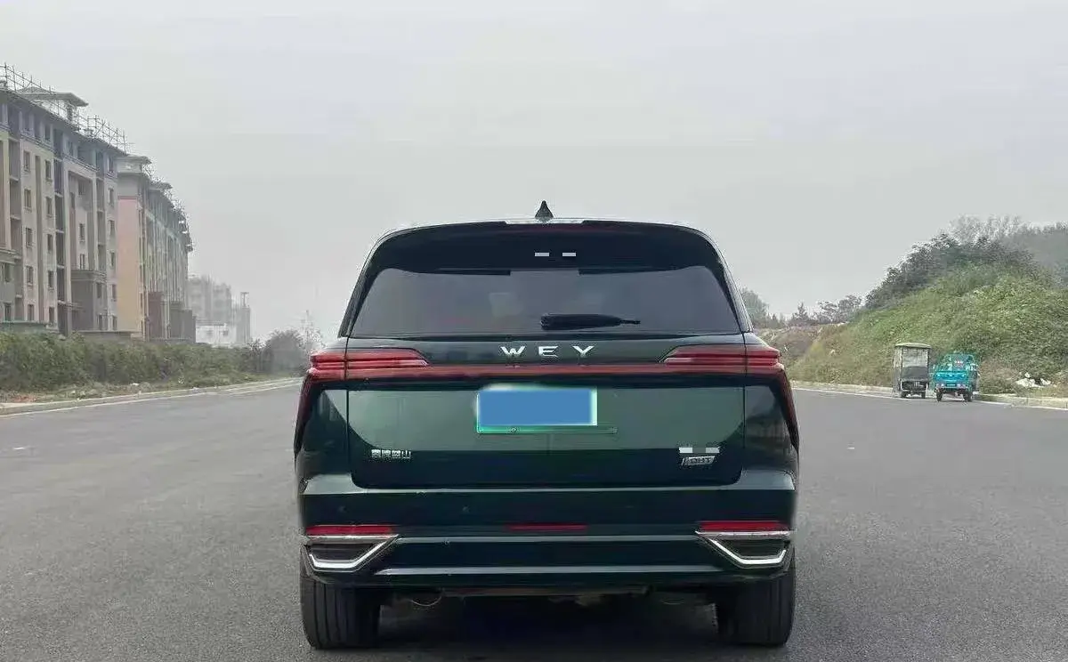 2023 WEY BLUEMOUNTAIN thumbnail 4