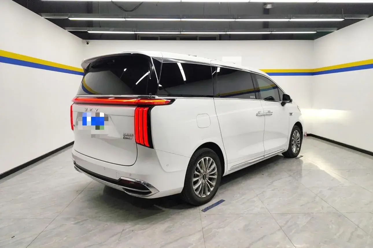 2024 HONGQI HQ9 thumbnail 2