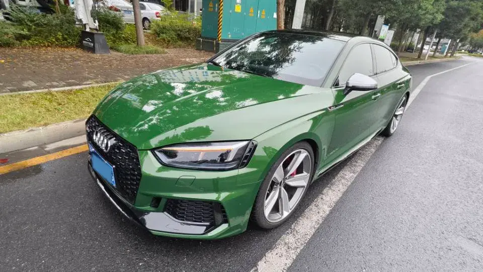 2019 Audi RS 5 2.9T 450HP V6 8AT