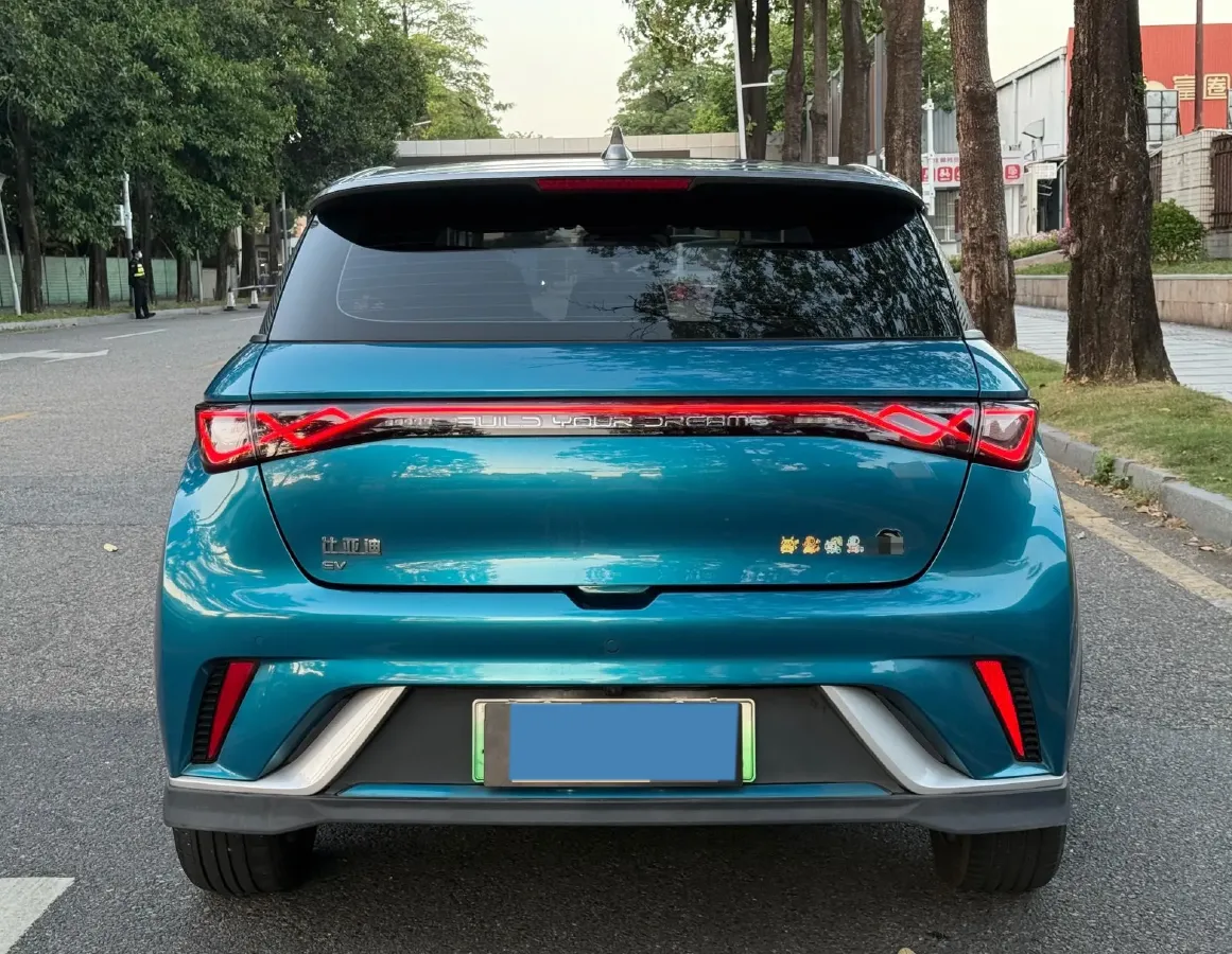 2021 BYD Dolphin BEV 44.9KWH,autocango,china used car exporter,china ev exporter,chinese used car exporter,chinese used ev exporter