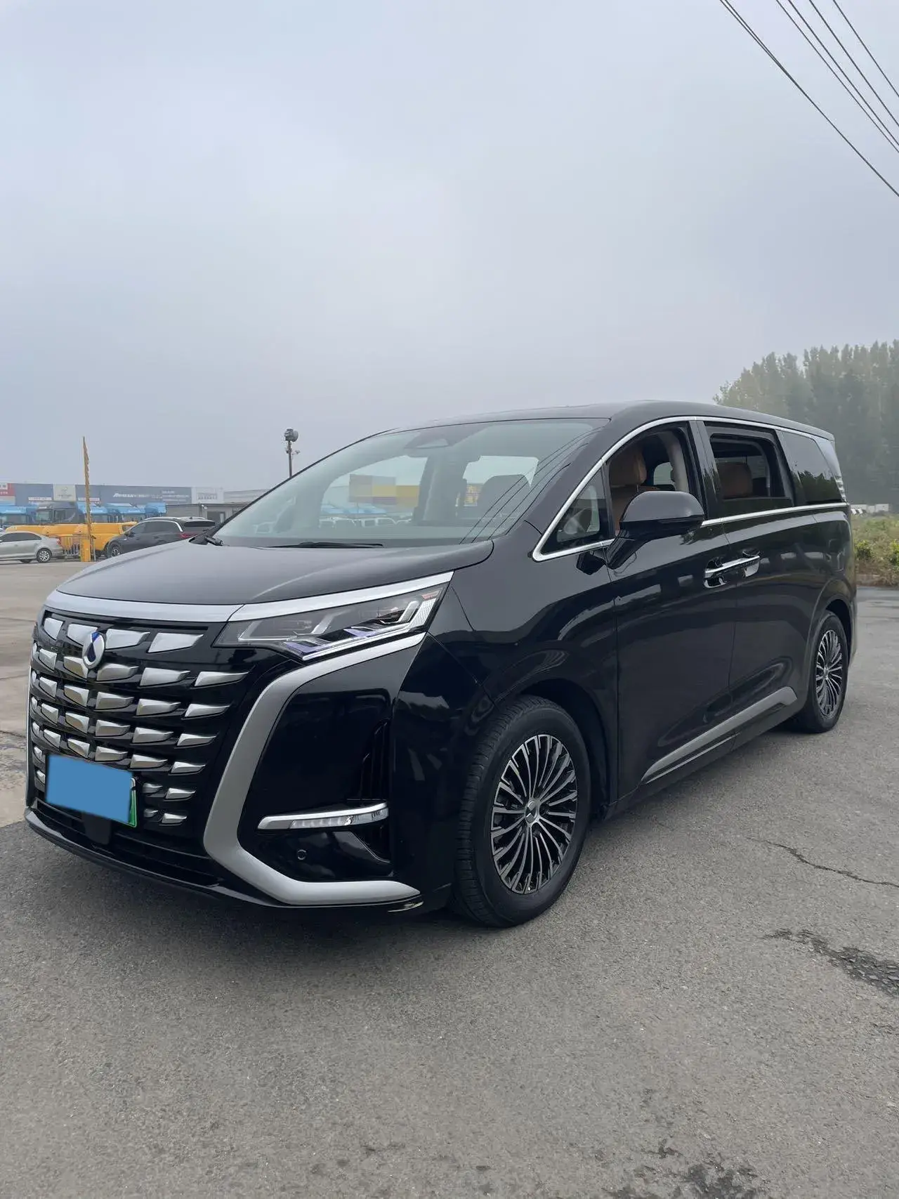 2022 DENZA D9 view 1