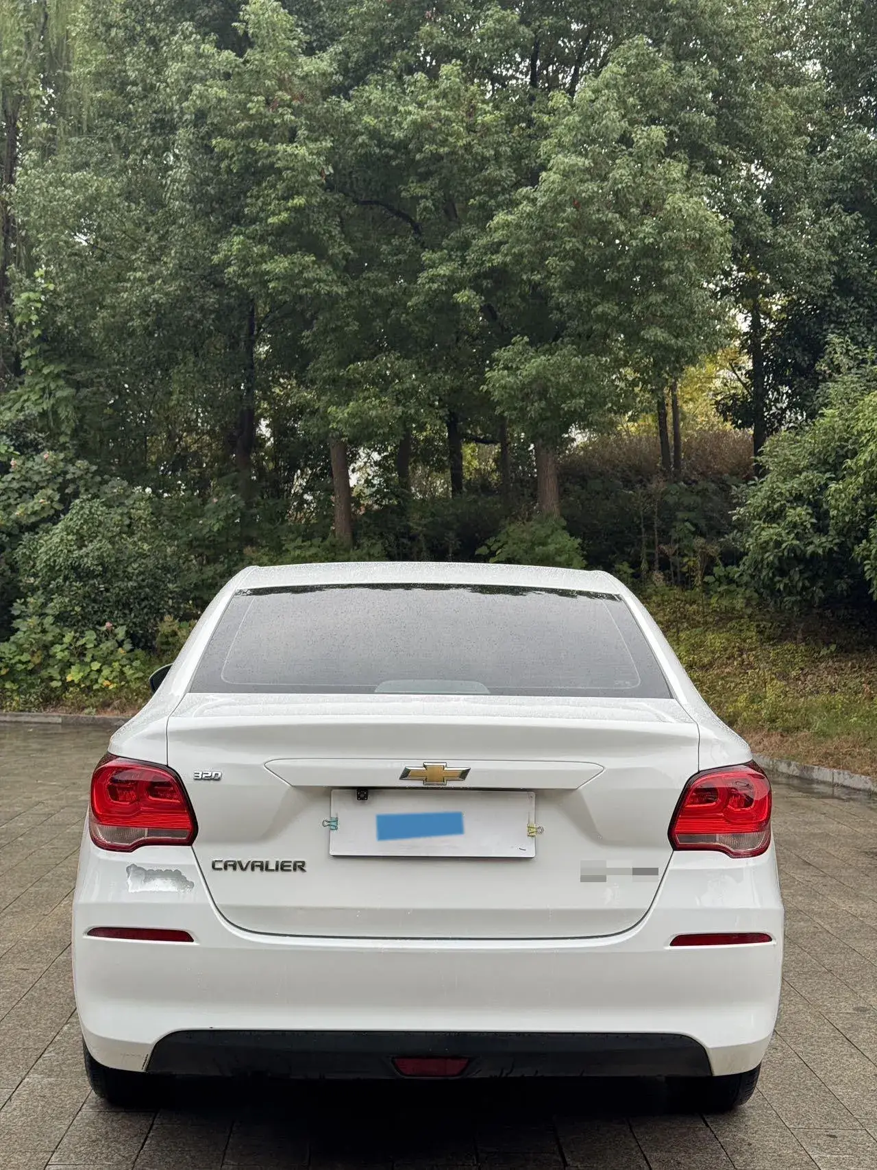 2019 CHEVROLET CAVALIER thumbnail 3