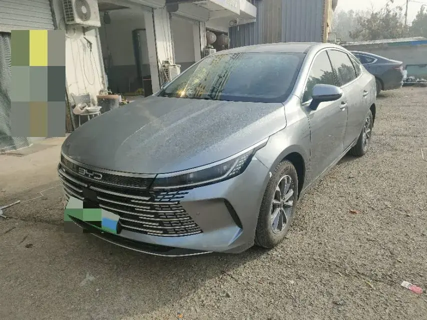 2024 BYD DESTROYER view 1