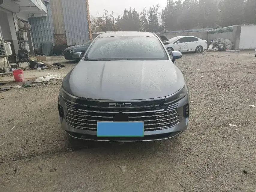 2024 BYD DESTROYER thumbnail 2