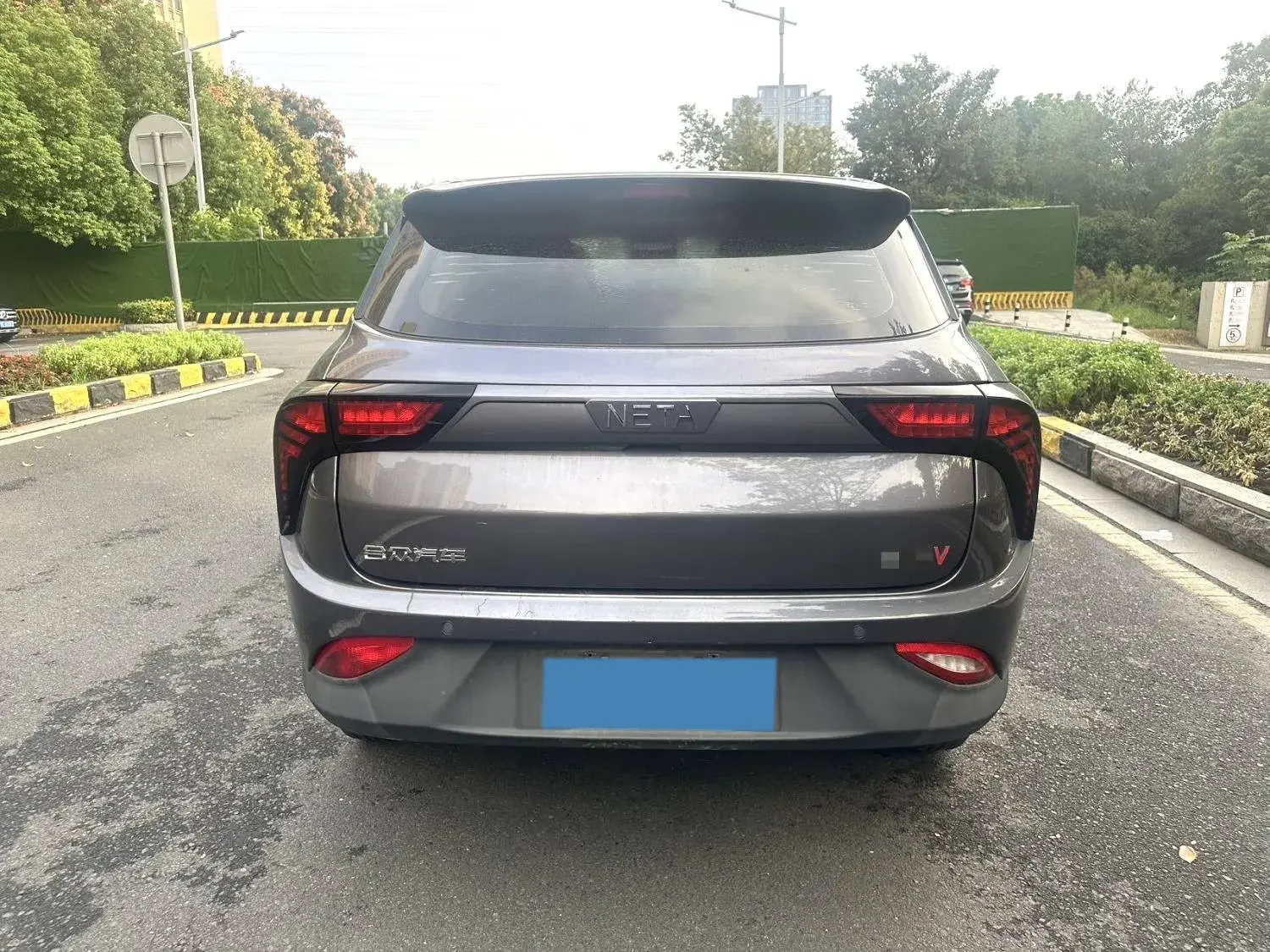 2021 NETA V thumbnail 4