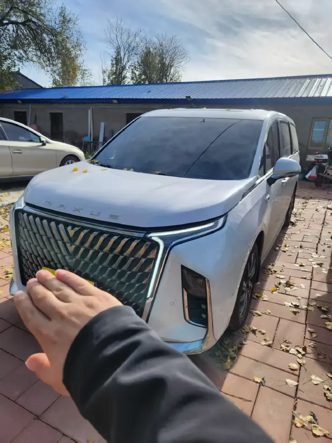 2022 MAXUS G90 2.0T 234HP L4 8AT