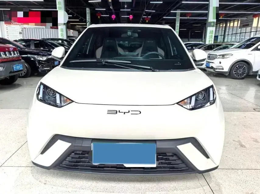 2023 BYD SEAGULL thumbnail 3