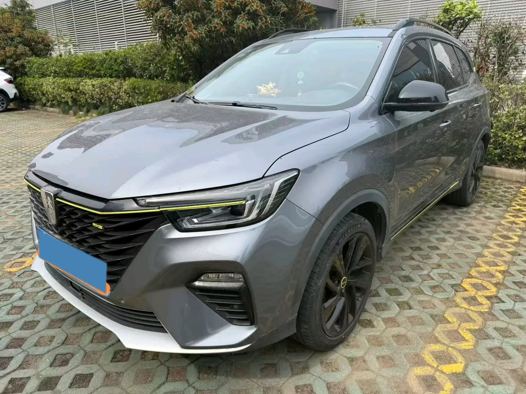 2020 ROEWE RX5 view 1