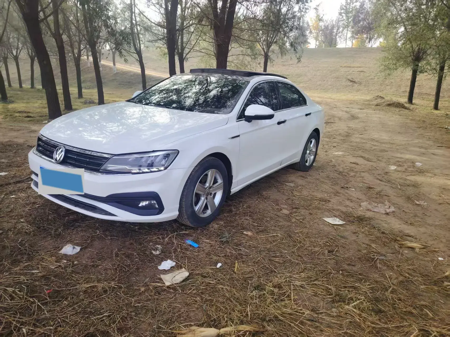 2019 VOLKSWAGEN LAMANDO view 1