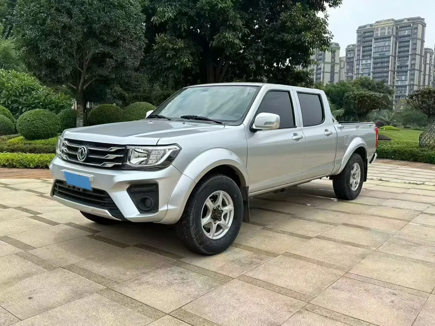 2021 DONGFENG RUIQI view 1
