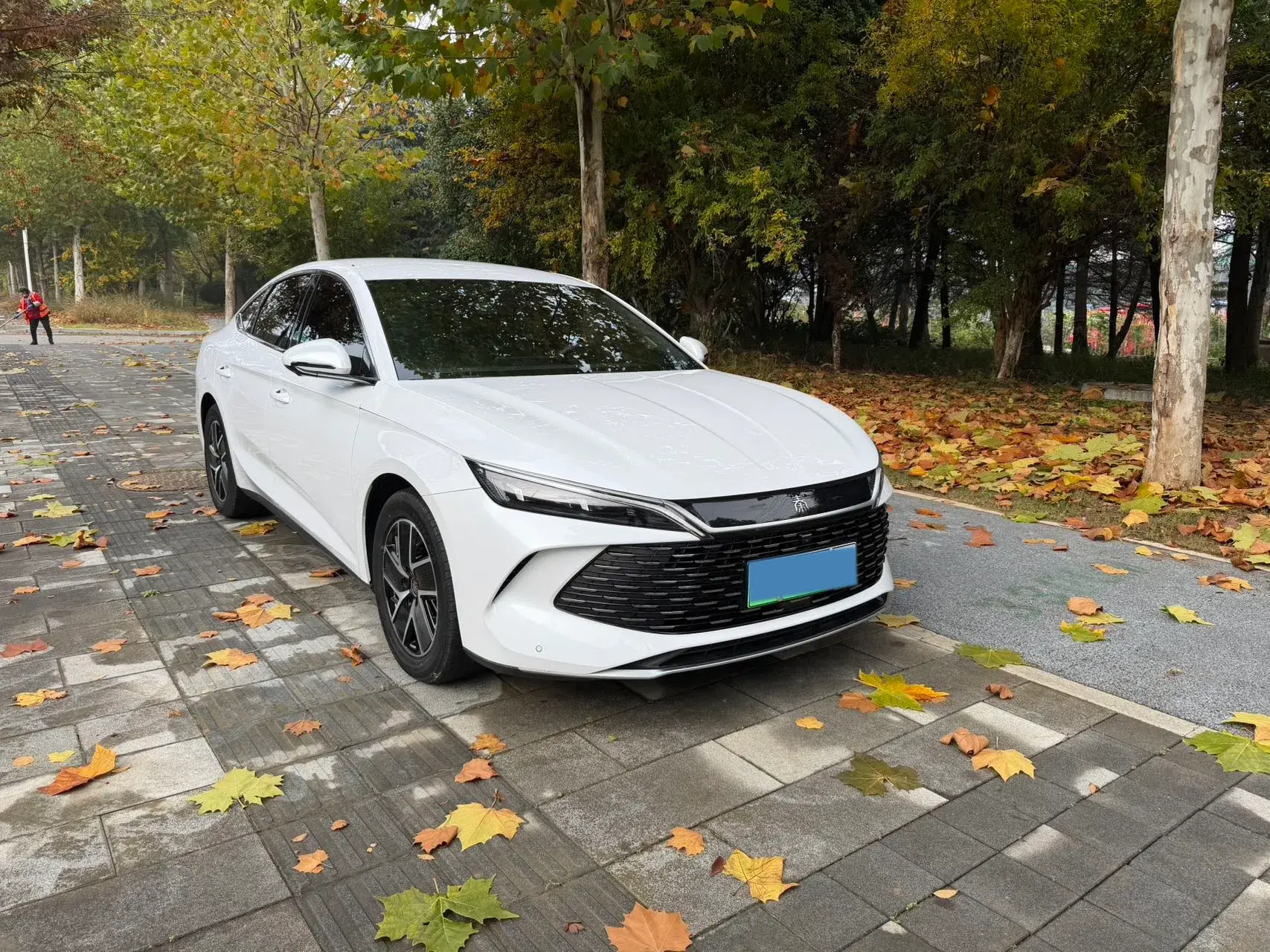 2024 BYD QINL thumbnail 3