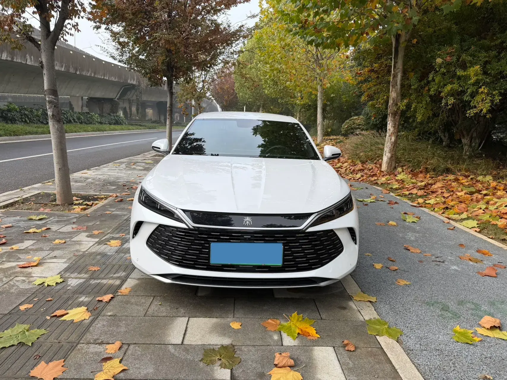 2024 BYD QINL thumbnail 2