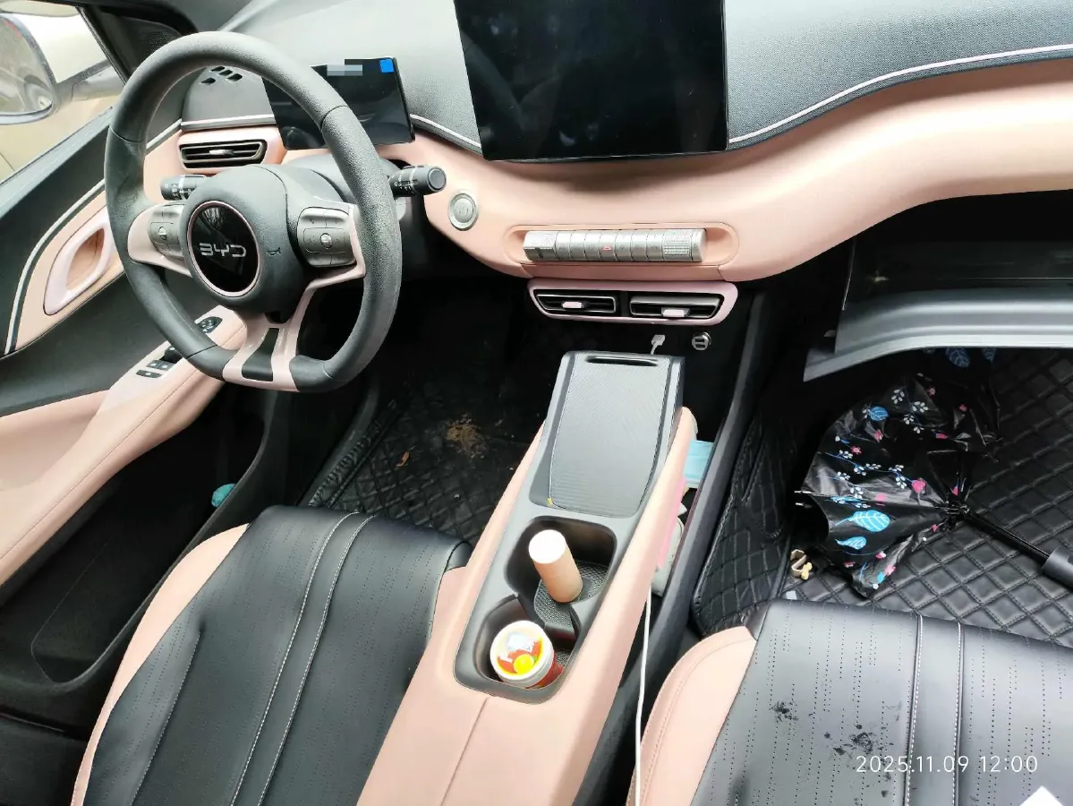 2024 BYD Seagull BEV 30.08KWH,autocango,china used car exporter,china ev exporter,chinese used car exporter,chinese used ev exporter