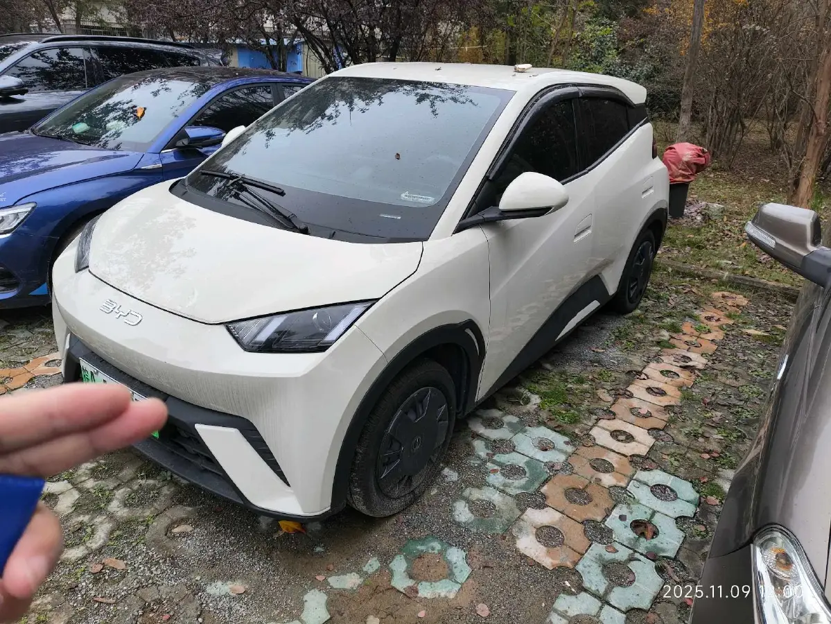 2024 BYD Seagull BEV 30.08KWH