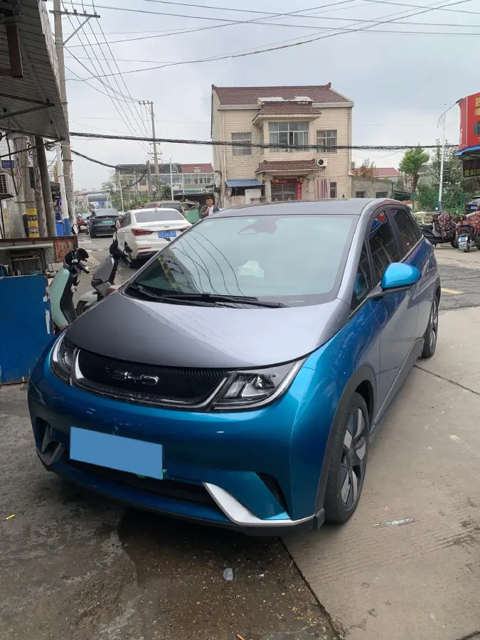 2021 BYD Dolphin BEV 44.9KWH