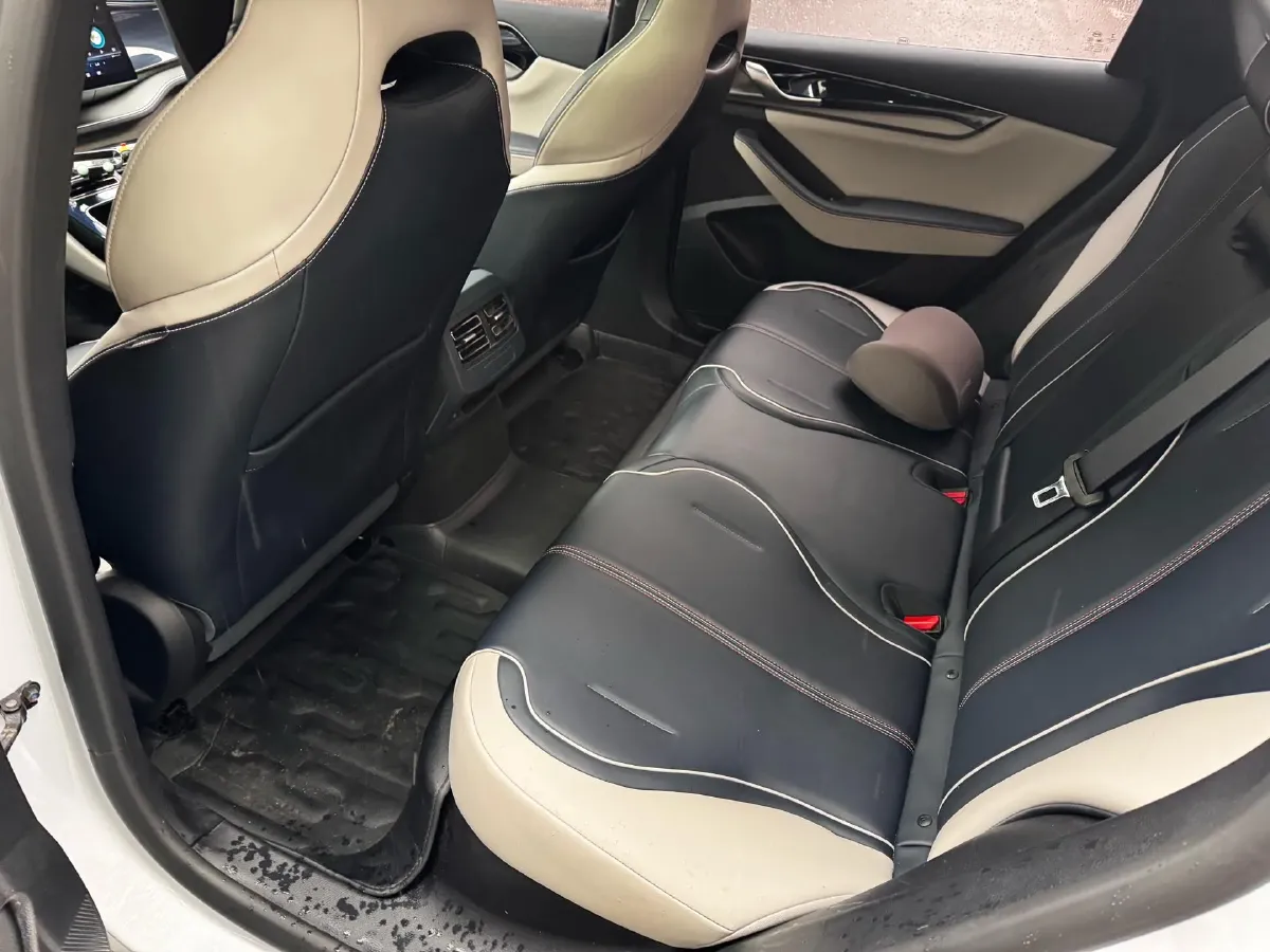 2021 BYD Qin Plus 1.5L 110HP L4 E-CVT PHEV 8.32KWH,autocango,china used car exporter,china ev exporter,chinese used car exporter,chinese used ev exporter