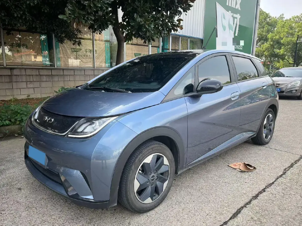 2024 BYD Dolphin BEV 44.928KWH 2024 BYD Dolphin BEV 44.928KWH