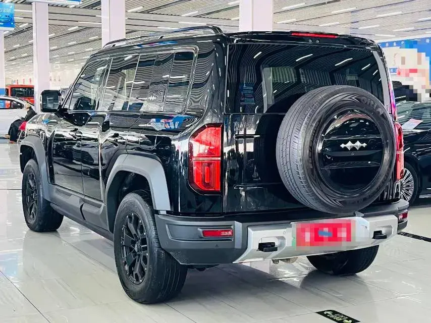 2023 FANGCHENGBAO BAO thumbnail 4