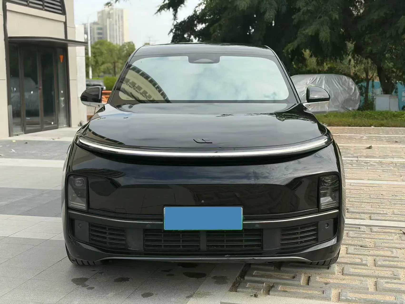 2023 LI L8 thumbnail 2