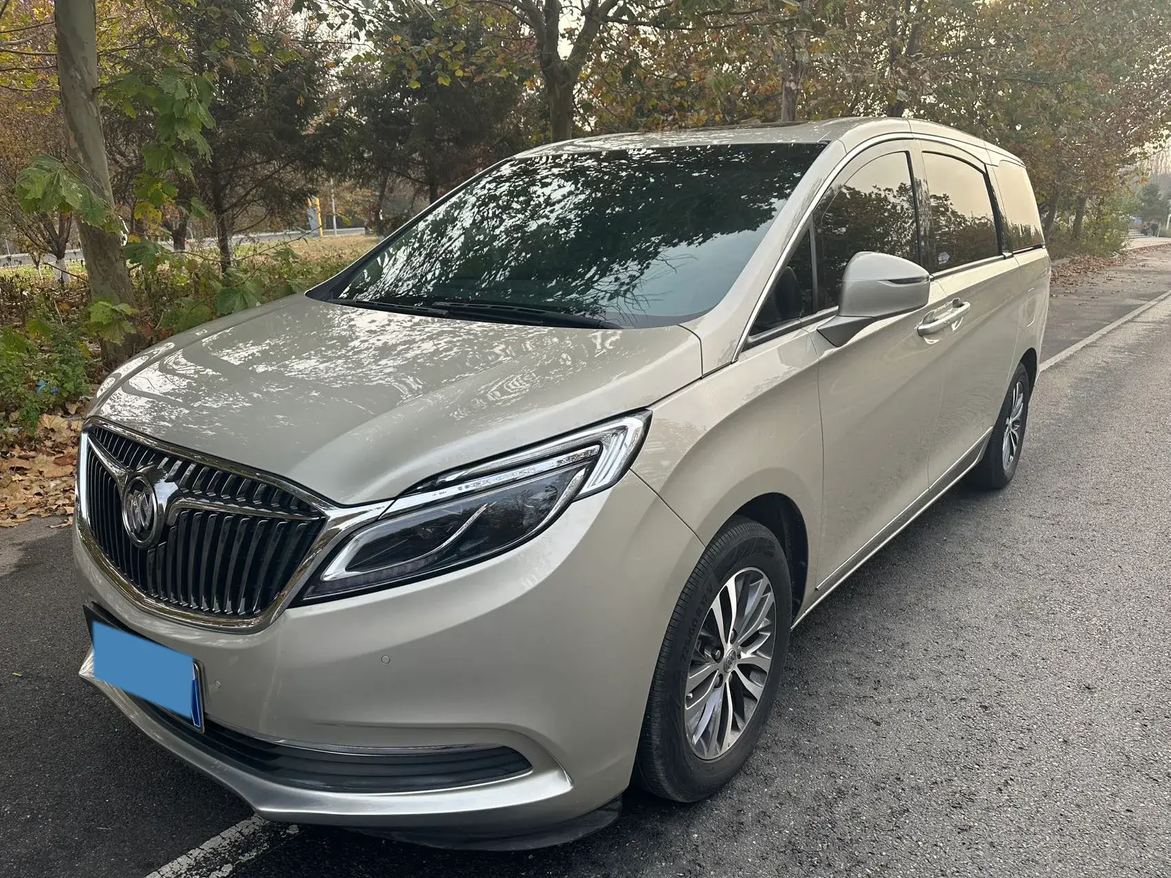 2018 BUICK GL8 view 1