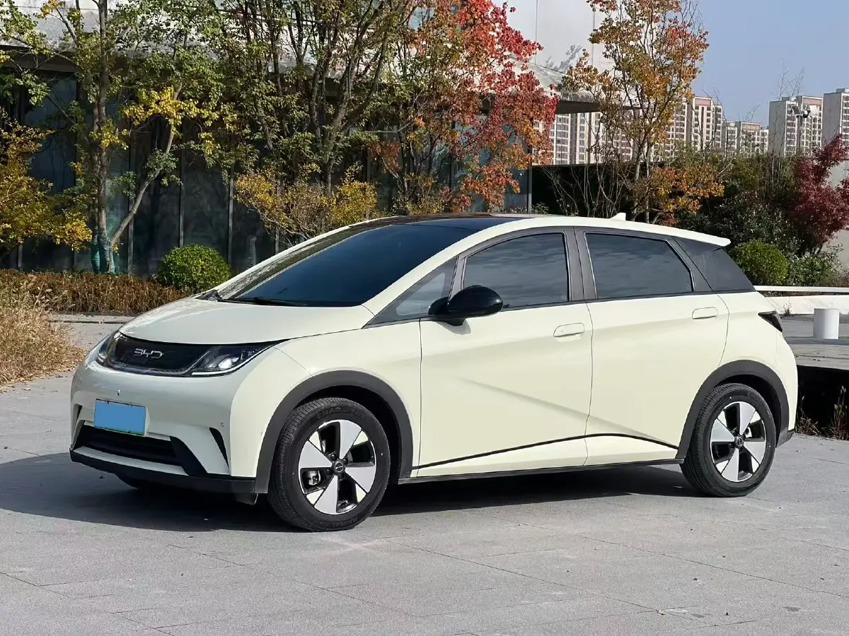 2023 BYD Dolphin BEV 44.928KWH