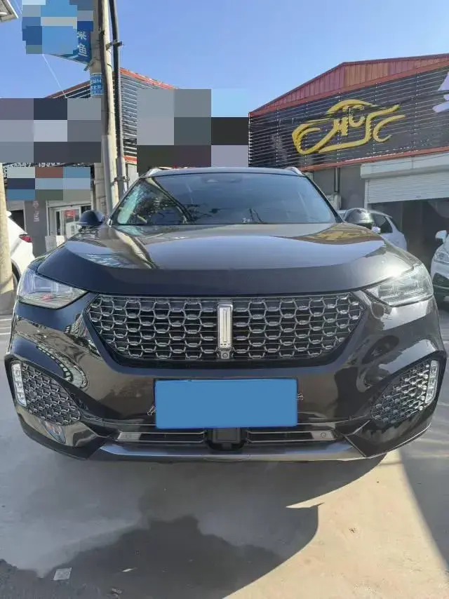 2020 WEY VV6 thumbnail 2