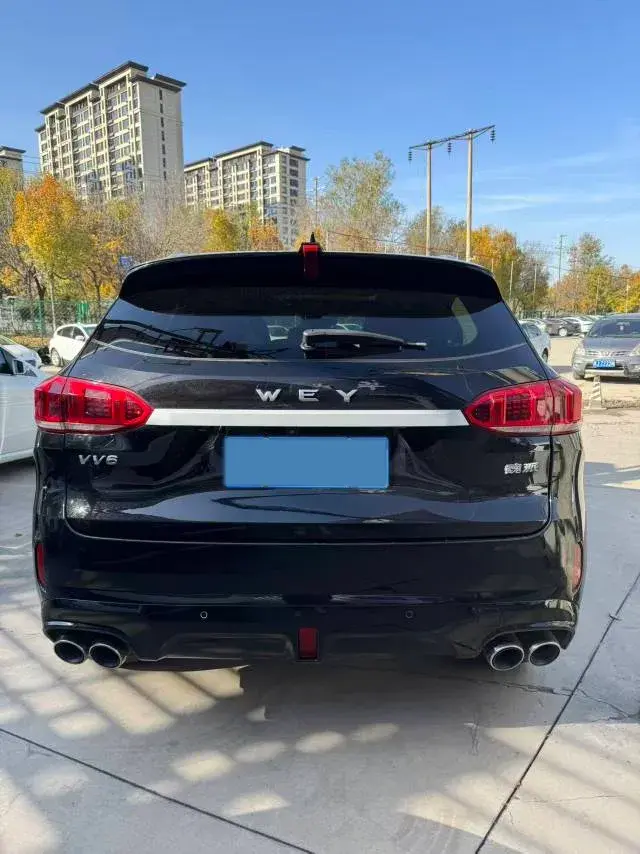 2020 WEY VV6 thumbnail 3