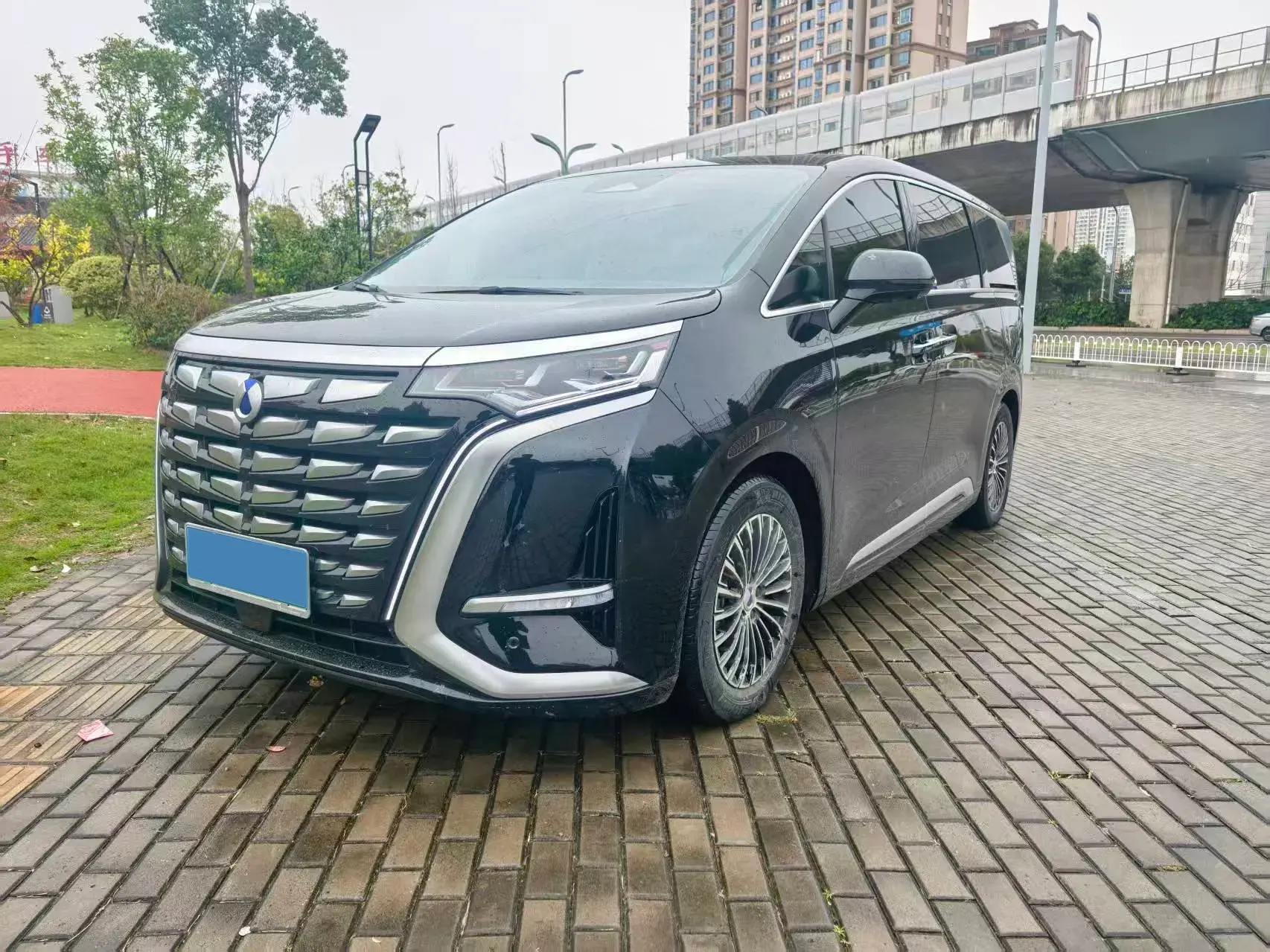 2024 DENZA D9 view 1