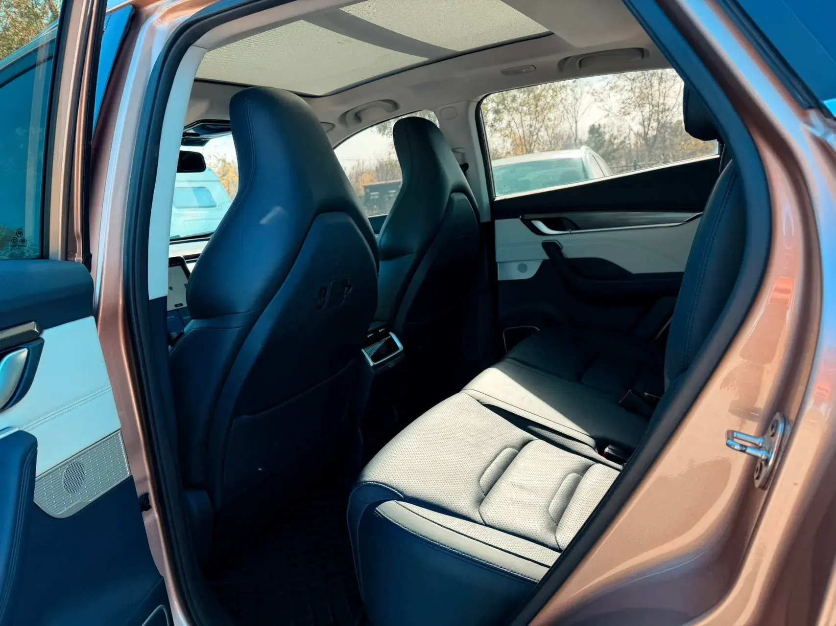 2019 WELTMEISTER EX5 thumbnail 4