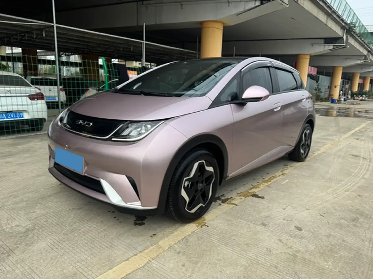 2021 BYD Dolphin BEV 44.9KWH