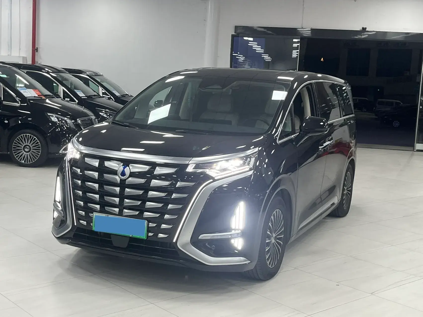 2024 DENZA D9 view 1