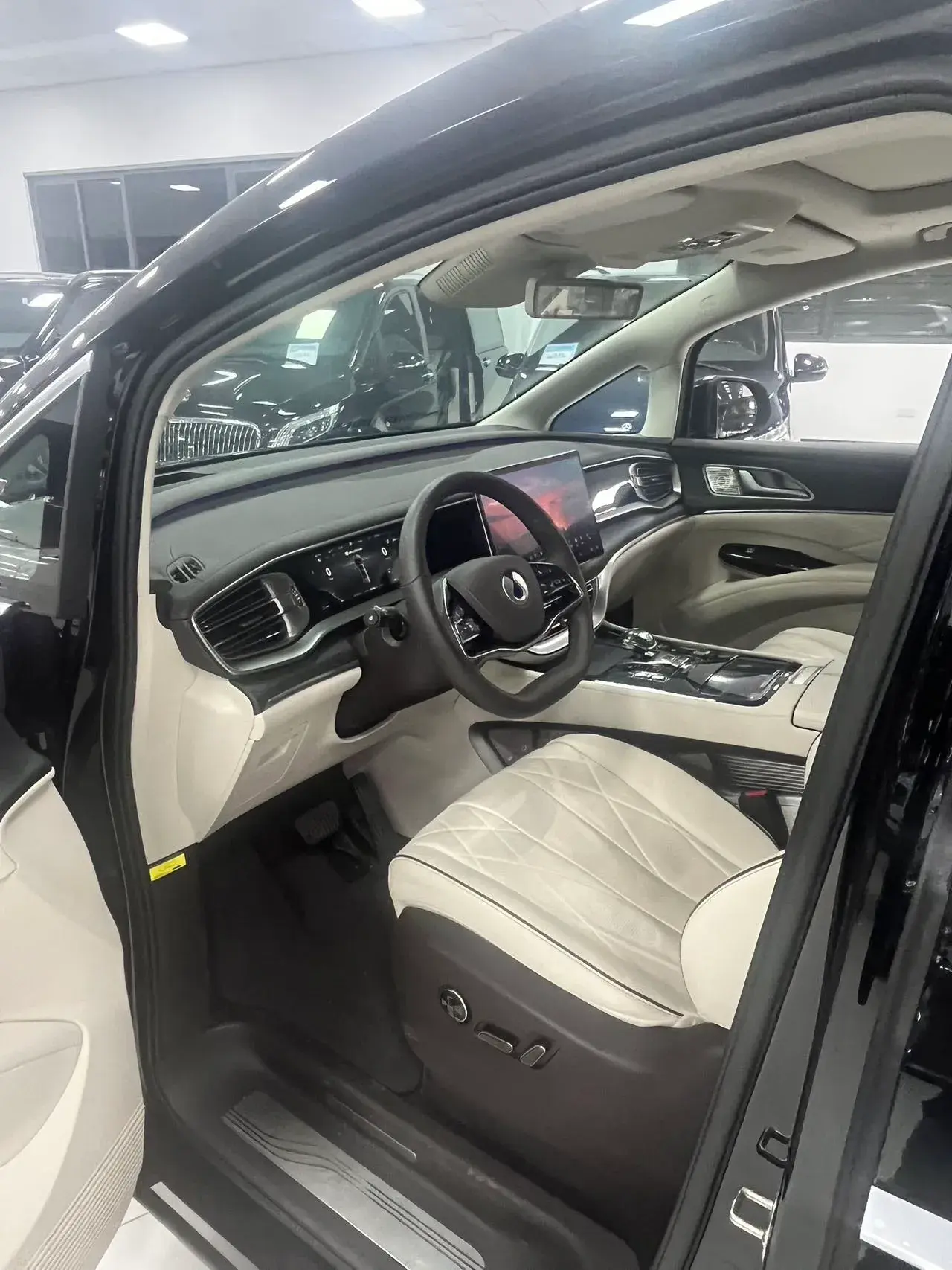 2024 DENZA D9 thumbnail 3