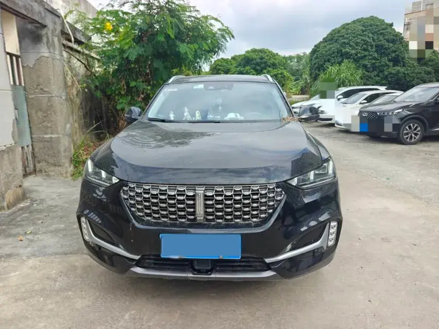 2021 WEY VV6 thumbnail 2