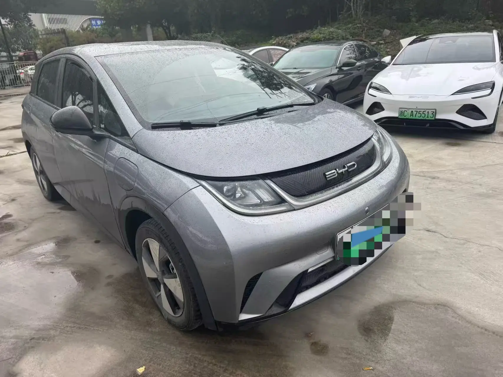 2023 BYD DOLPHIN thumbnail 3