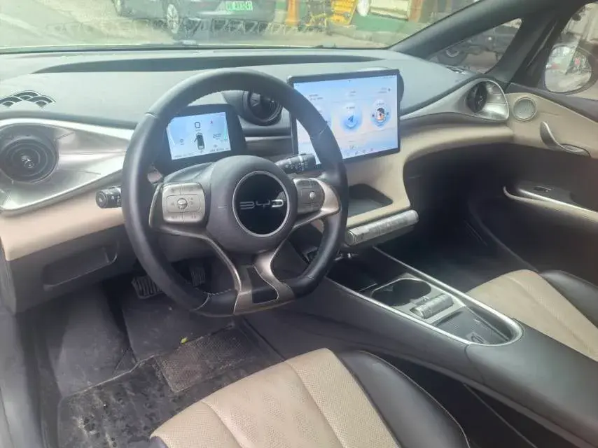 2023 BYD DOLPHIN thumbnail 4