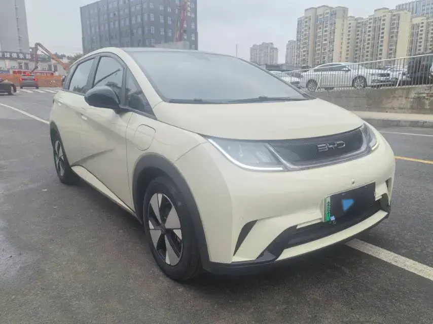 2023 BYD DOLPHIN thumbnail 2