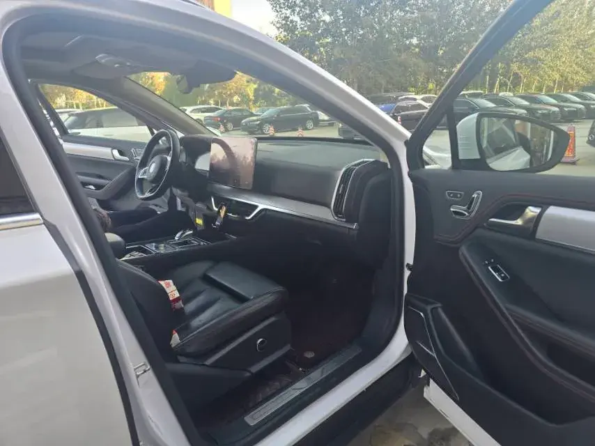 2019 BYD TANG thumbnail 3