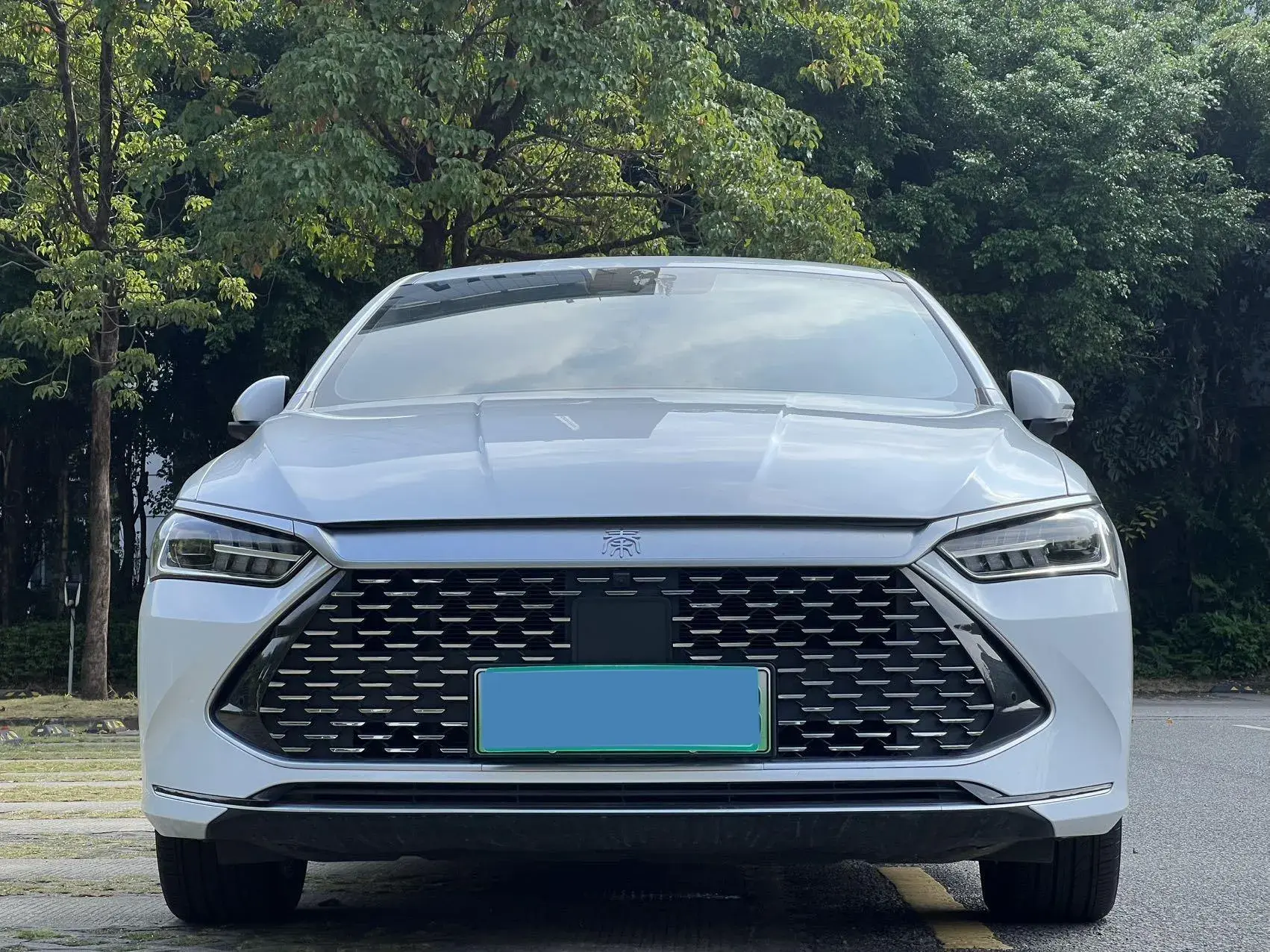 2021 BYD QIN thumbnail 2